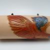 cylindrical clutch/case